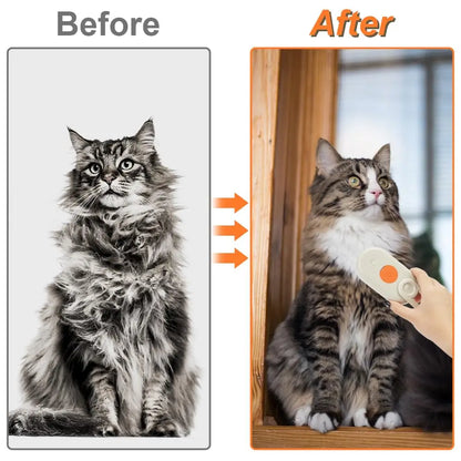 Cat Dog Pet Spray Massage Brush One Button Steam Spray Folding Rotatable Floating Hair Bath Hair Removal Brush Comb#pet cleaning tools